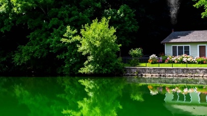 护眼树木房屋绿景带鱼屏