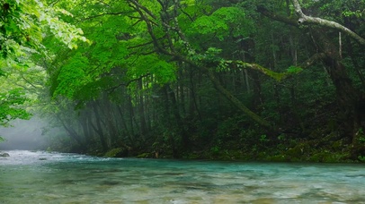 清凉绿林流水