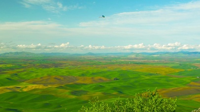 蓝天白云草原风筝
