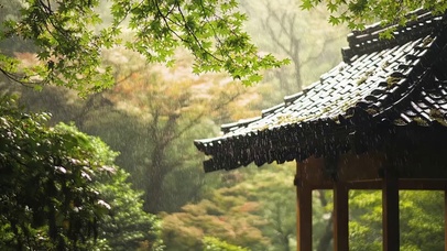 绿意雨天森林古亭雨滴