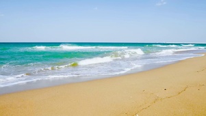 4K沙滩海浪