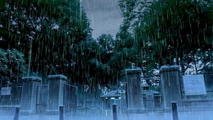 治愈系暴雨