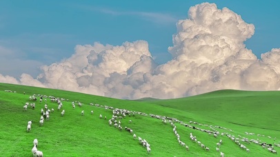 风吹草低见牛羊