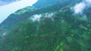 青山白云