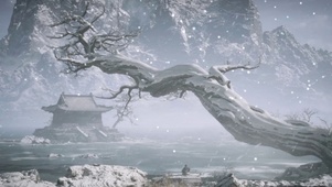 冬雪