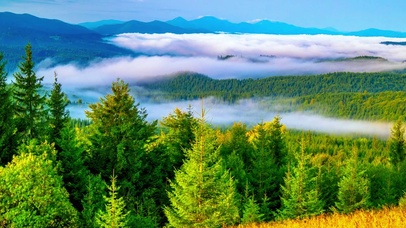 唯美山顶云海4K