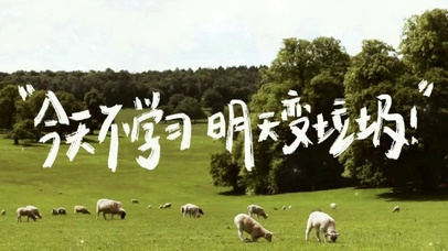 今天不学习 明天遍垃圾