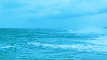 4K唯美海浪海燕