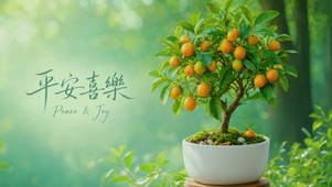 平安喜乐小金桔