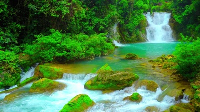 夏日绿林山间流水 4K