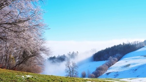 【4K实拍】延迟摄影樱花与雪山