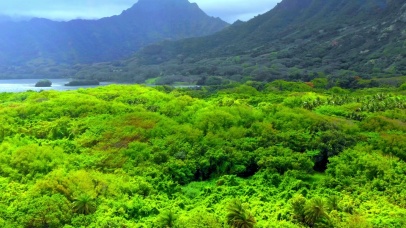 唯美护眼美景4K