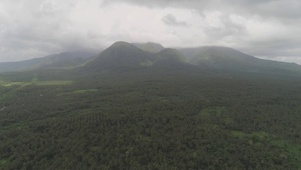 4K 高清 菲律宾棕榈热带风景