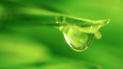 4K 护眼【叶子水滴】