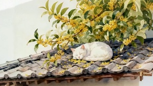 桂花树下的老猫