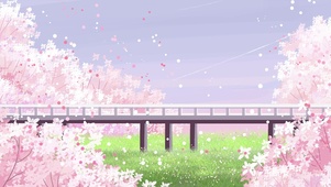 桥边唯美樱花