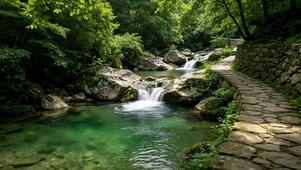 4K唯美 深林山涧古道
