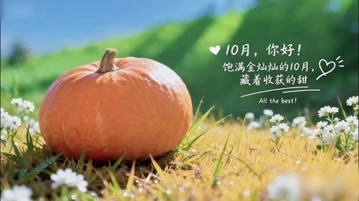 饱满金灿灿的收获10月