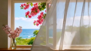 窗畔花与海