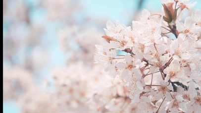 送你一朵小红花