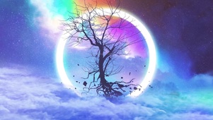 星空残树