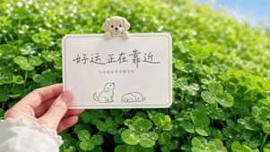 好运正在靠近