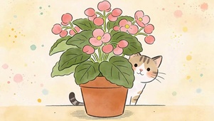 猫咪