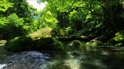 夏日清凉溪水