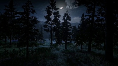 星空明月凄凉黑夜