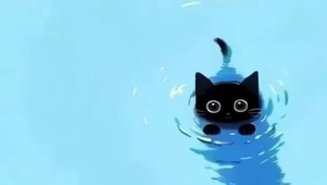 玄猫 4k