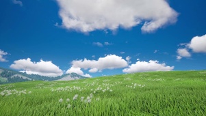 自然蓝天绿色草地