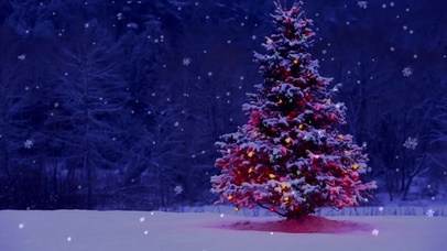 雪中圣诞树