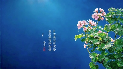 自在飞花轻似梦