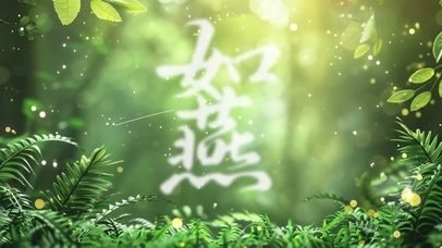 清晨露水治愈草风景