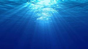 4K 高清 水下的场面与光线
