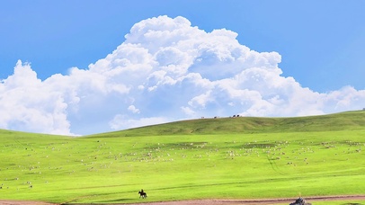 这是自由的感觉~