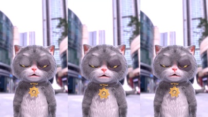 斑布猫-WAKAWAKA