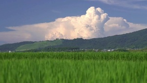 4K唯美护眼乡村天空绿草