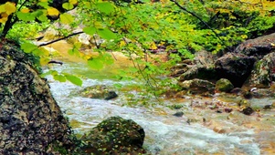 4K小河流水