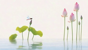 护眼小清新