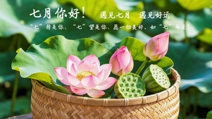 一筐清莲