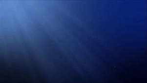 海中气泡