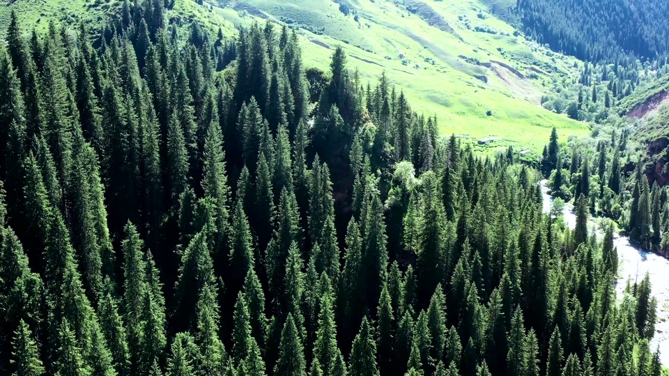 写实山林风光，鲜绿色草坡山地旁环绕深绿色针叶林，山间有清亮溪流蜿蜒，草原顺着山势铺展。