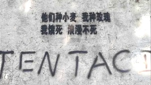 他种小麦我种玫瑰我饿死浪漫不死