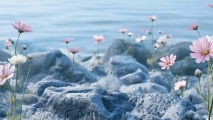 海边花草树木带鱼屏