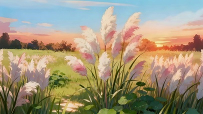 晚霞草原蒲苇
