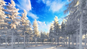 4K松林雪景