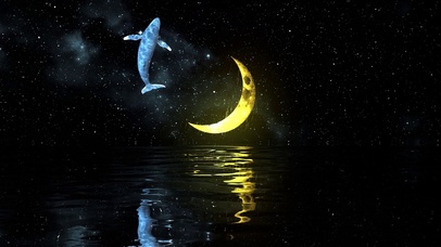 游鲸空中戏残月