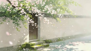院墙外的鲜花
