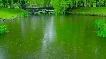 雨天公园水池